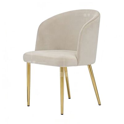 Prezzo buono Sedie da pranzo in velluto nordico elegante e moderno Piedi in tubo di metallo resistenti Tessuti tuffati Cuscino imbottito Salotto commerciale in linea